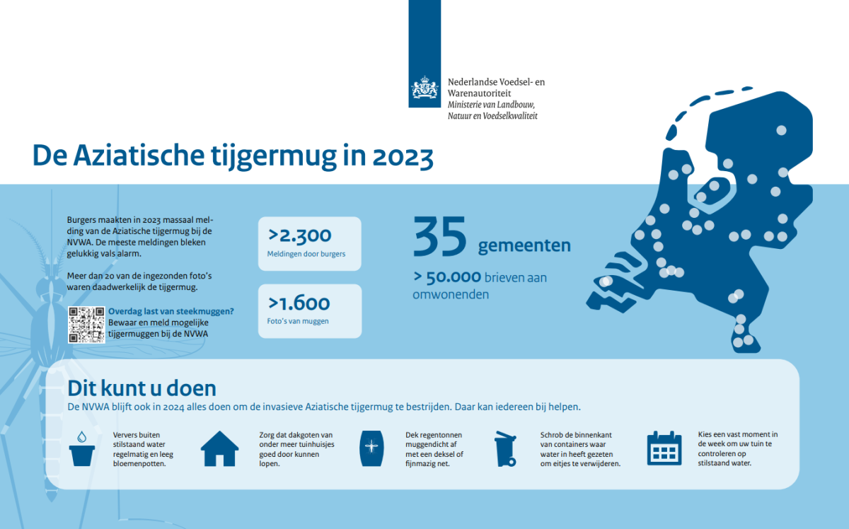 Infographic De Aziatische tijgermug in 2023