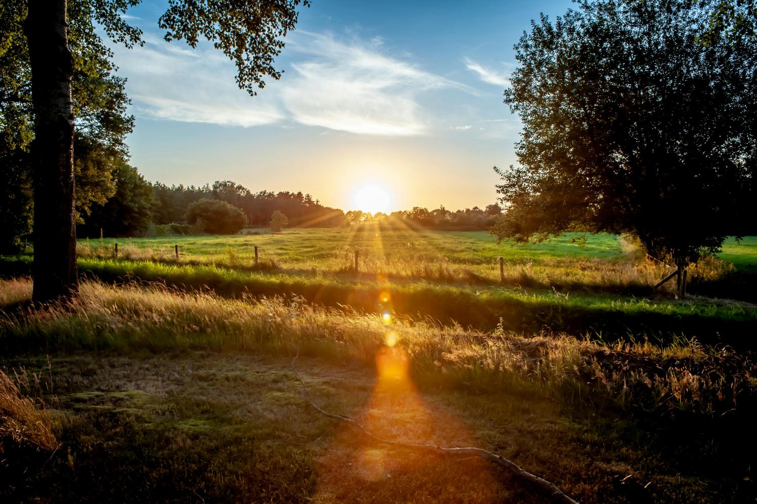 zon in nederland