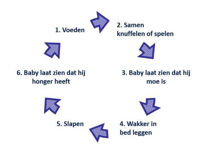 Cyclus slaap van baby